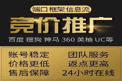顶级SEM服务公司案例解析