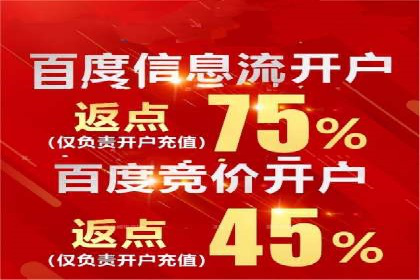 百度竞价与搜索引擎优化（SEO）结合的经典案例